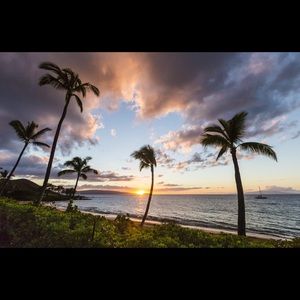 For sale for Whitney